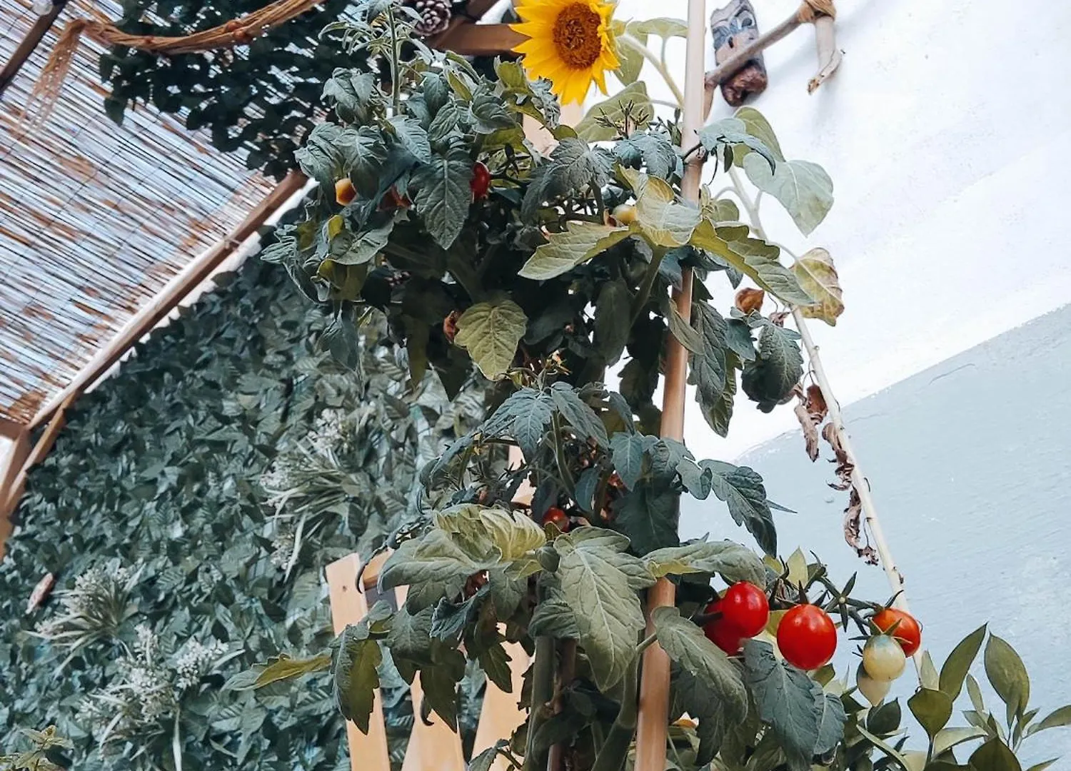 Lägenhet Vespri Love Trapani Italien
